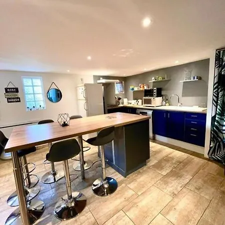 Apartment Le Camille Charming With Garden 5 Min Chu