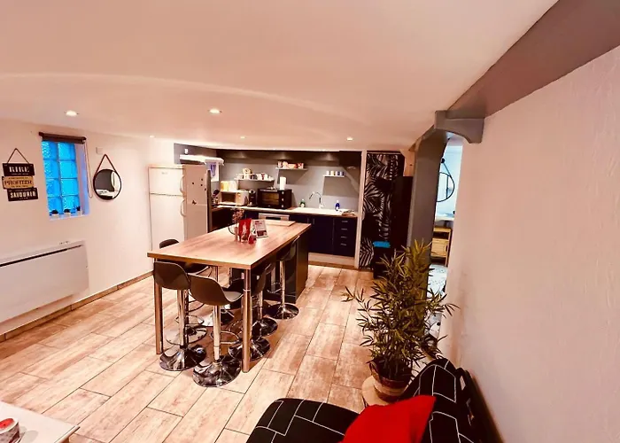 Le Camille Charming With Garden 5 Min Chu * Poitiers